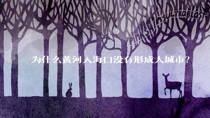 为什么黄河入海口没有形成大城市？